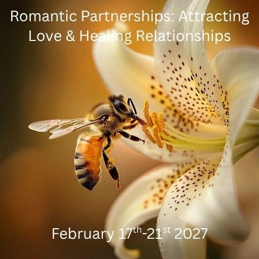Family Constellation Training module attracting love and healing relationships 2027